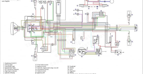 Yamaha Virago Wiring Diagram Panda Moto Fog Light Wiring Diagram Wiring Diagram Blog