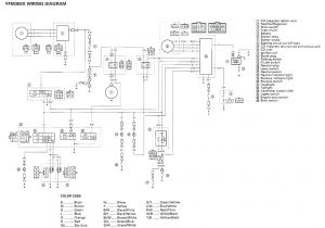 Yamaha Warrior 350 Wiring Diagram 1997 Yamaha Warrior Wiring Diagram Wiring Diagram Centre Yamaha Warrior 350 Wiring Diagram 1997 Yamaha Warrior Wiring Diagram Wiring Diagram Centre