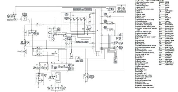 Yamaha Warrior 350 Wiring Diagram Wiring Diagram 89 Yamaha Warrior 350 Wiring Diagram Paper
