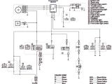 Yamaha Warrior Wiring Diagram 2000 Big Bear Headlight Wiring Diagram Wiring Diagram Database Site