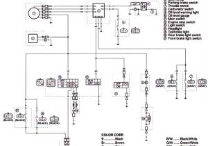 Yamaha Warrior Wiring Diagram 2000 Big Bear Headlight Wiring Diagram Wiring Diagram Database Site
