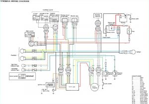 Yamaha Warrior Wiring Diagram 2002 Bear Tracker Wiring Wiring Diagram Preview