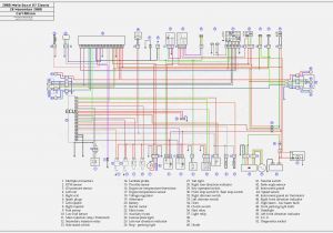 Yamaha Warrior Wiring Diagram Wiring Diagrams for toy Hauler Free Printable Schematic Wiring Yamaha Warrior Wiring Diagram Wiring Diagrams for toy Hauler Free Printable Schematic Wiring