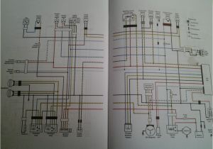 Yfz 450 Wiring Diagram Yfz450 Wiring Diagram Light My Wiring Diagram