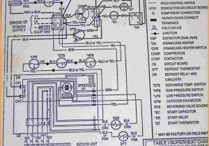 York Hvac Wiring Diagrams York Package Units Wiring Diagrams Wiring Diagram Expert