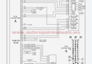 Zf Ecomat 2 Wiring Diagram Zf Ecomat 2 Wiring Diagram Luxury Zf Friedrichshafen Wire Diagram