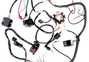 Zongshen 250 atv Wiring Diagram Komplette Elektrische Kabelbaum Magneto Spule Cdi Fur 200cc 250cc Zongshen 250 atv Wiring Diagram Komplette Elektrische Kabelbaum Magneto Spule Cdi Fur 200cc 250cc